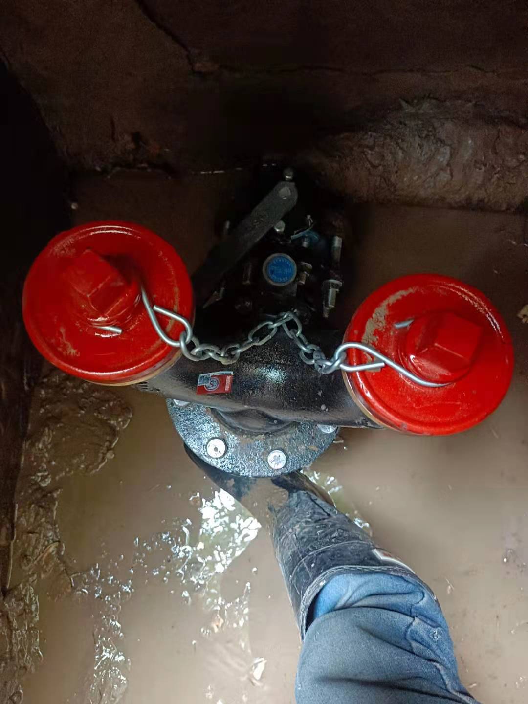 1637561753181729.jpg 1637561753181729.jpg